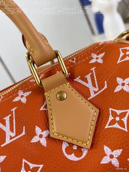 Cheap 25 SPEEDY Vuitton Louis 0505